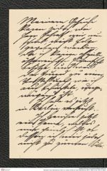 Nachlass Franz Steindachner, Brief von Johann Schild an Franz Steindachner (26.01.1905), Inv.Nr. 449.10, Seite 2